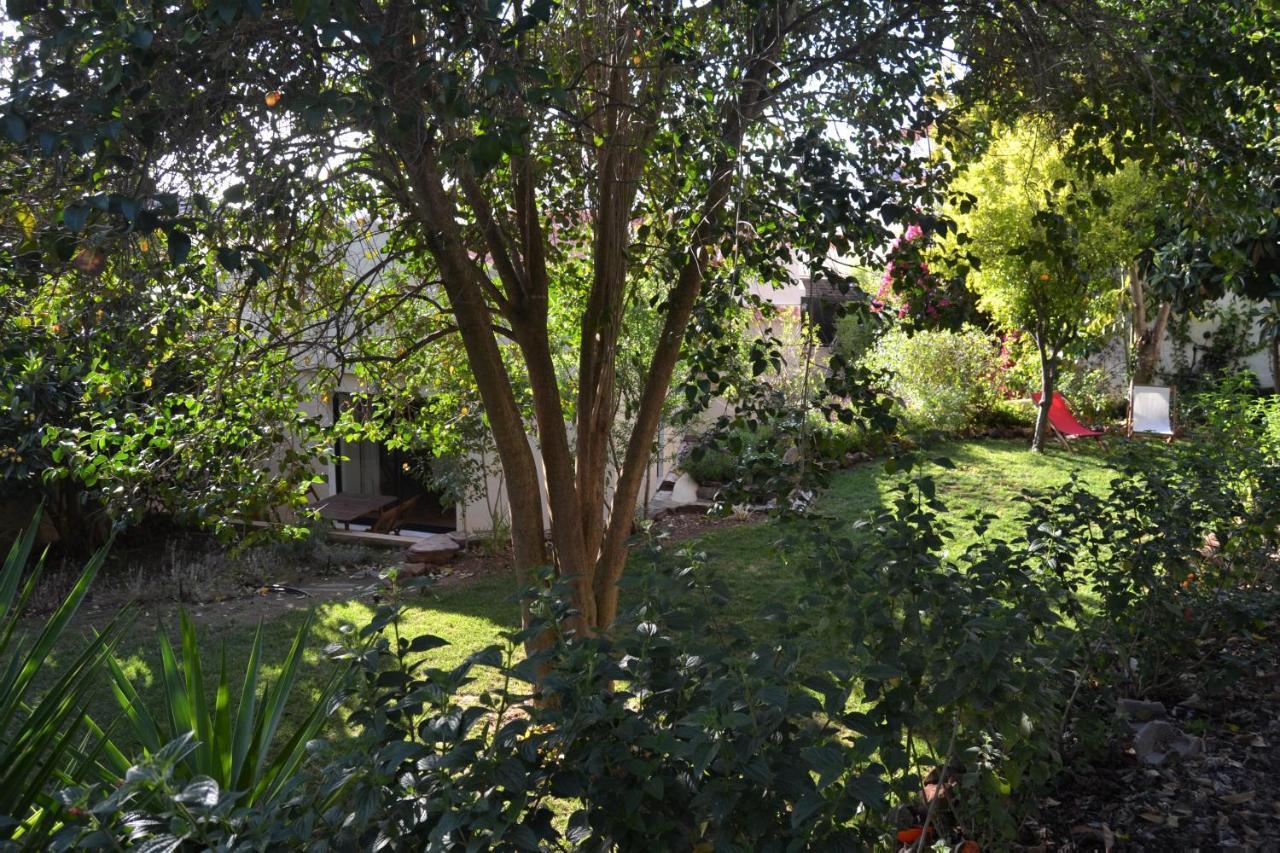 Garden In The City Silves Eksteriør billede